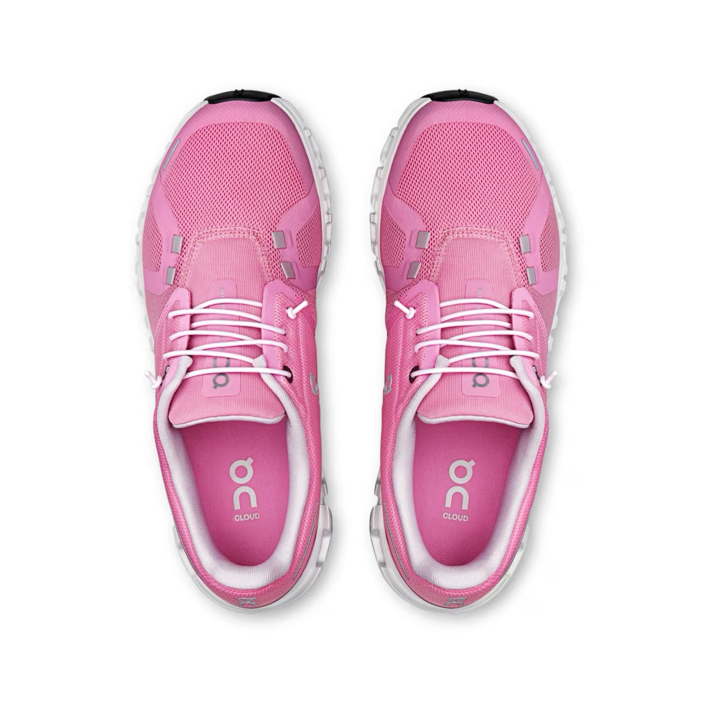 ON CLOUD 6 - RASPBERRY/ WHITE